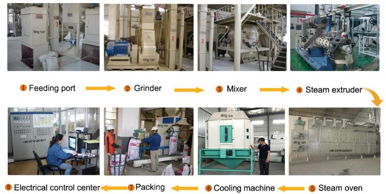 Fish feed machine Layout: