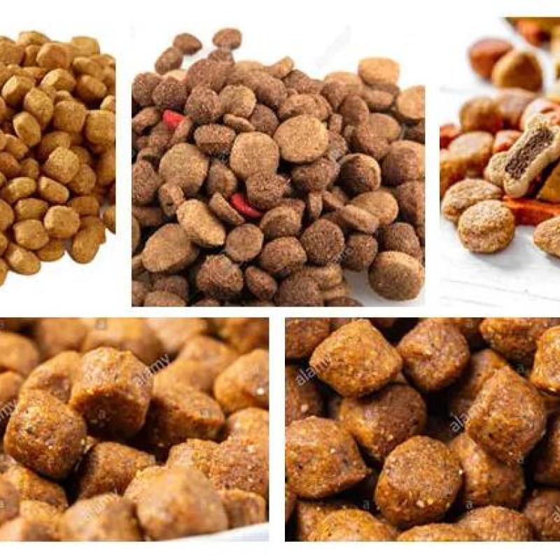 Classification of Dog Food