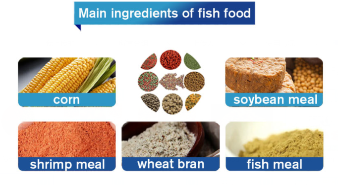 Fish feed main ingredients.png