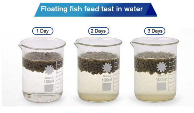 floating fish food test.png