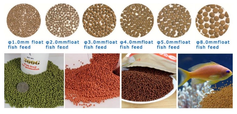 Different size fish feed samples: