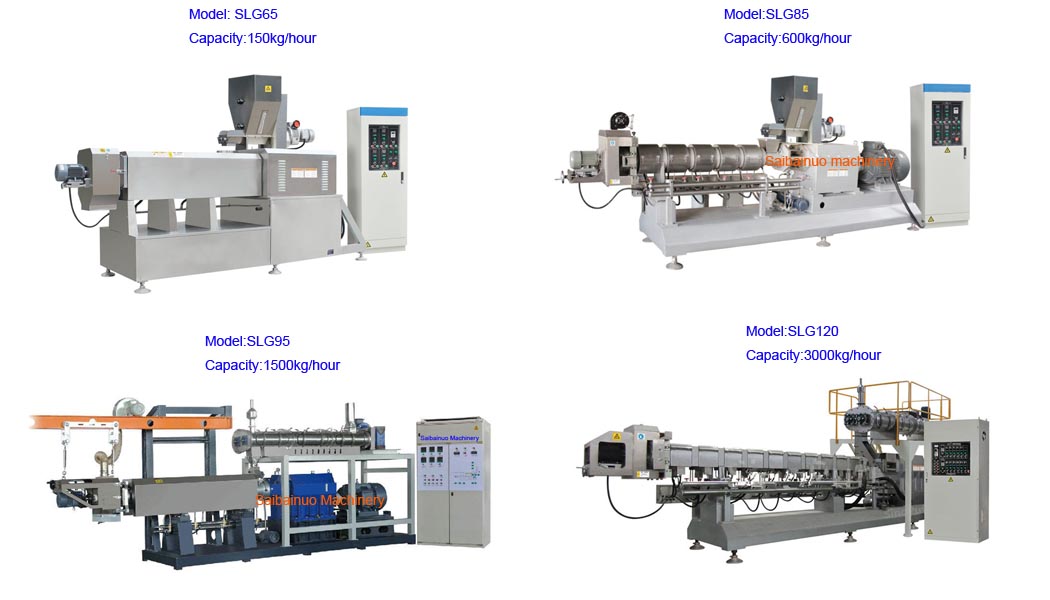 Twin screw Extruder